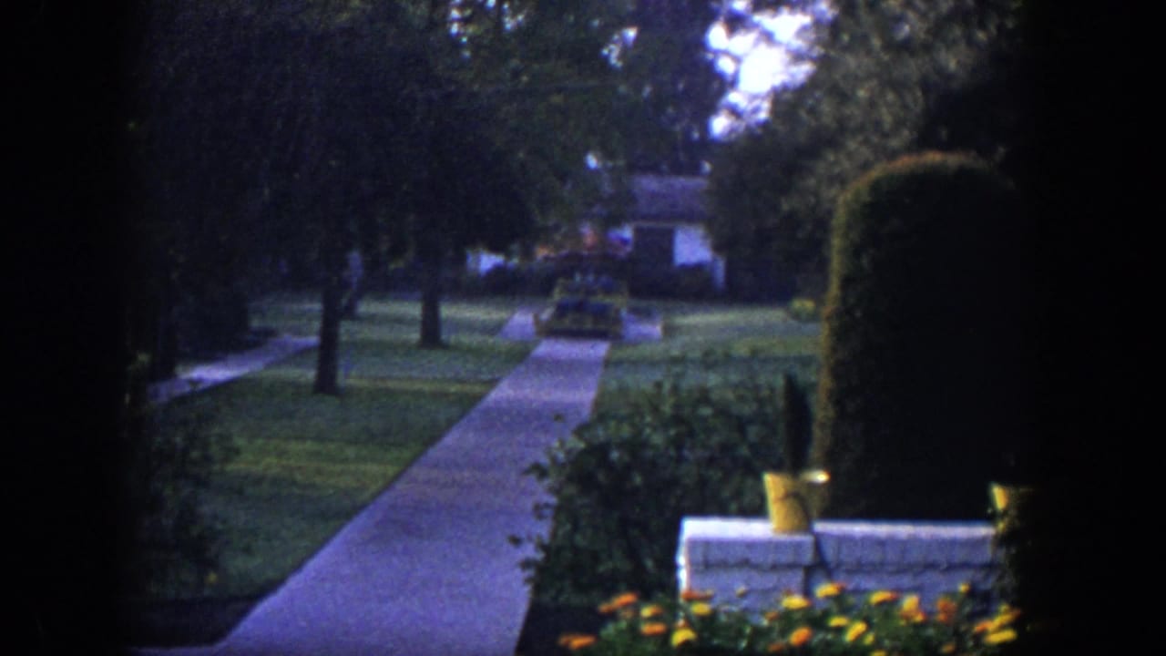 Concrete walkway through a lawn with flowers, shrubs, potted plants, trees, and a distant house.