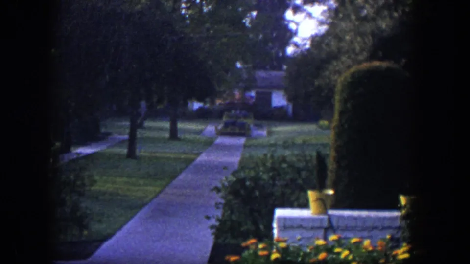 1954 Las Vegas home-movie frame showing a residential walkway, lawn, clipped shrubs, yellow flowers, potted plants, trees, and a distant house.