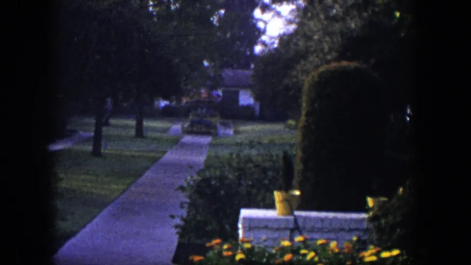 1954 Las Vegas frame with a concrete walk through a manicured yard, bordered by flowers, potted plants, clipped bushes, trees, and a distant house.