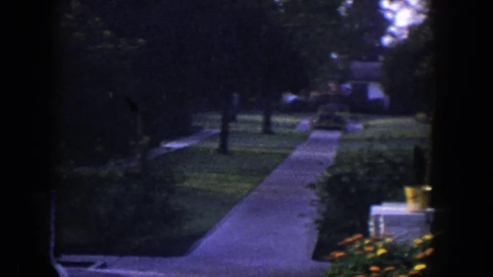 1954 Las Vegas home-movie view of a landscaped residential yard with a walkway, lawn, flowers, potted plants, shrubs, trees, and a distant house.