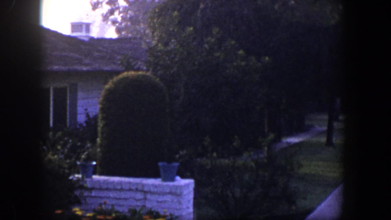 Residential yard with white brick planter, dark hedges, and part of a house.