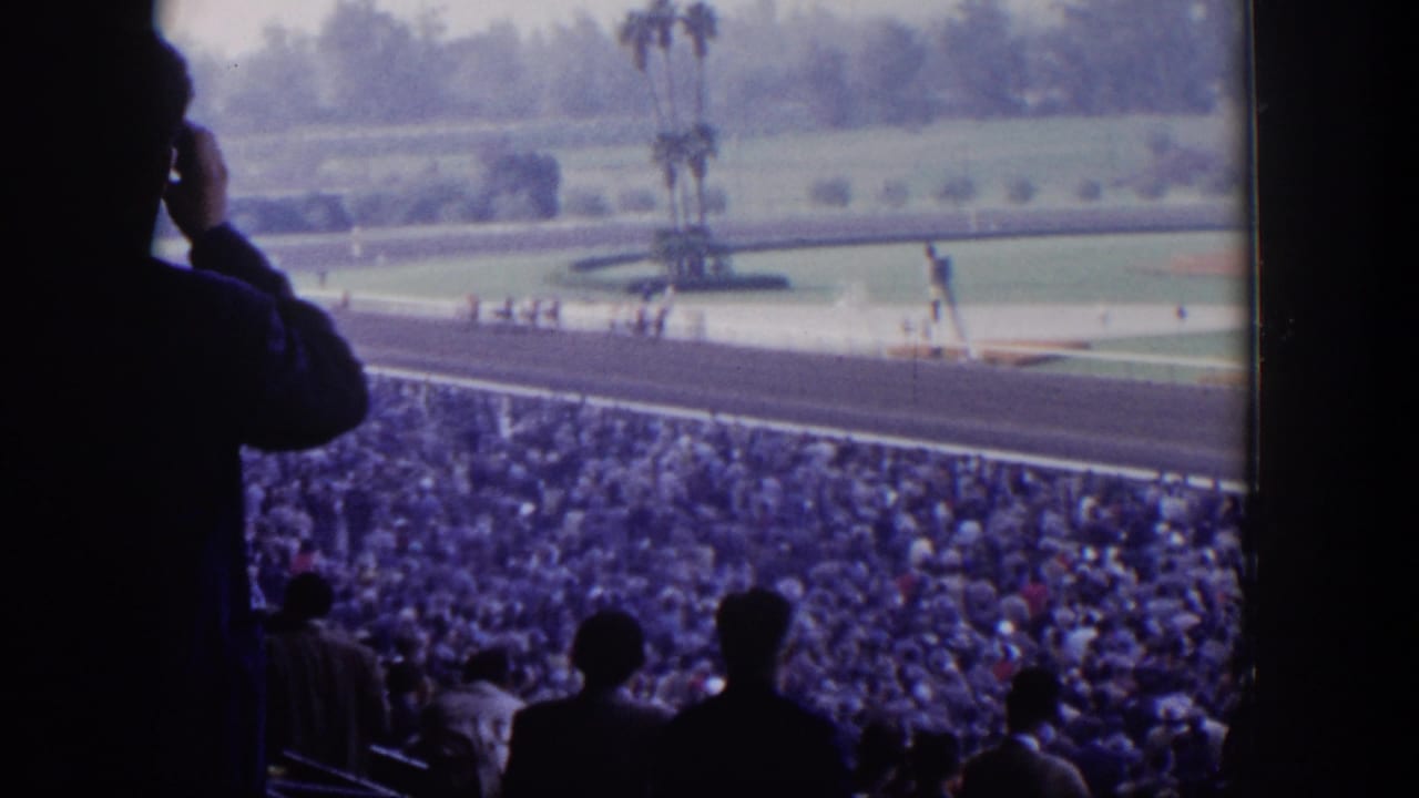 1954 Las Vegas racetrack scene from the stands, with silhouetted spectators, a packed crowd, palm trees, and horses on the track.