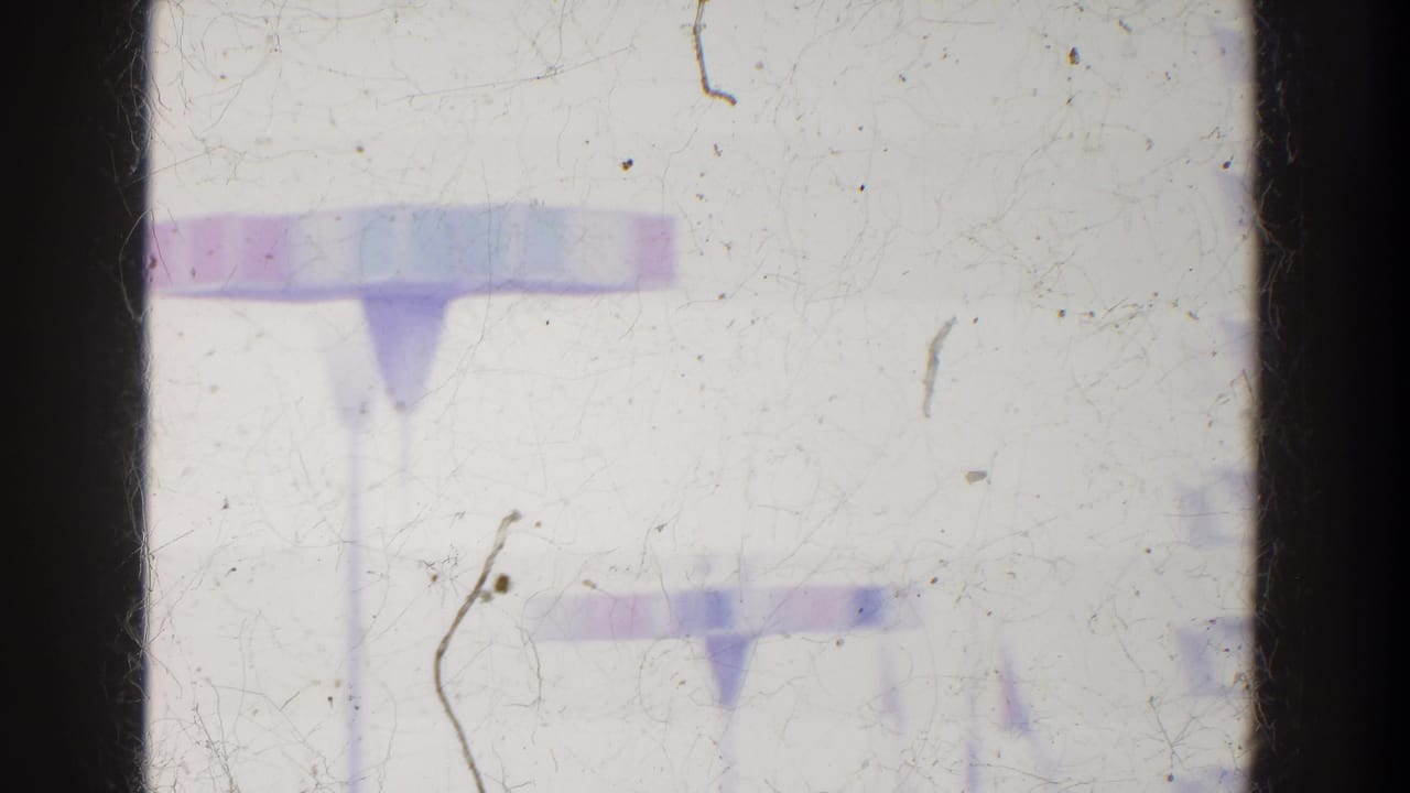 Soft, pale view of tall sign supports and fairground structures through scratched 8mm film.