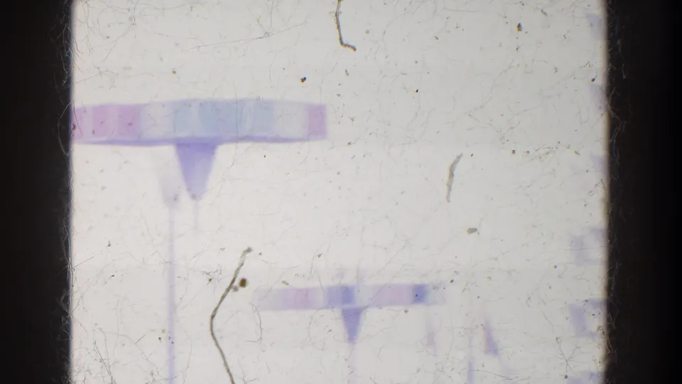 Blurred 8mm frame from the reported 1964 World's Fair clip showing tall sign supports and indistinct outdoor fair structures.