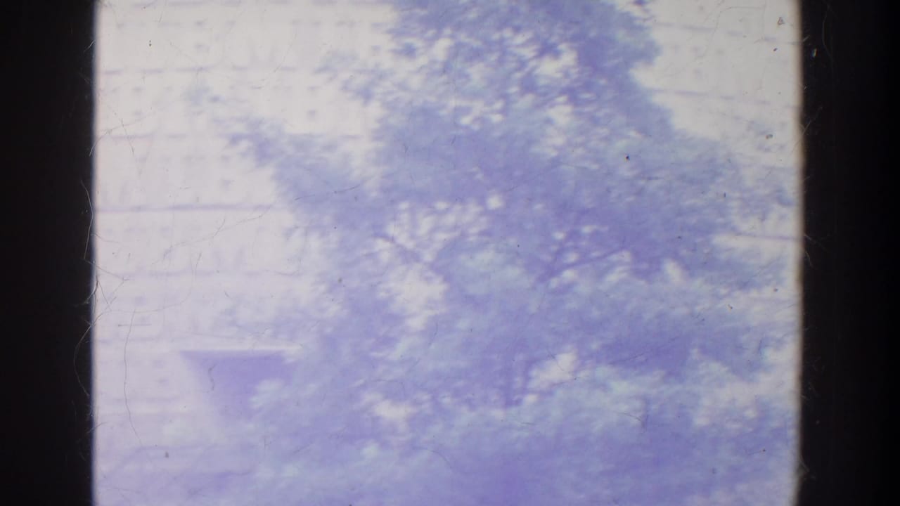 Purple-tinted 8mm frame with a leafy treetop, pale tank-like form, and dark vertical film borders.