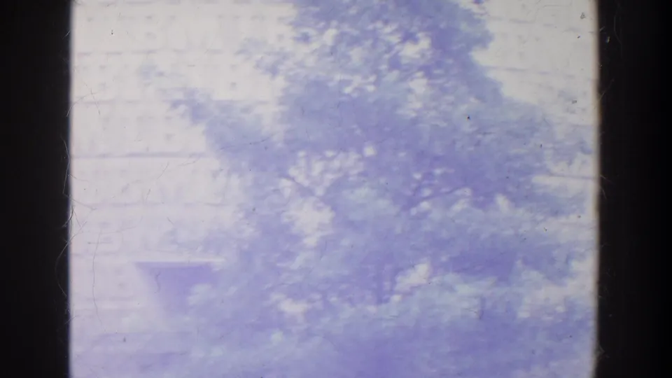 Purple-tinted 8mm frame with a leafy treetop, pale tank-like form, and dark vertical film borders.