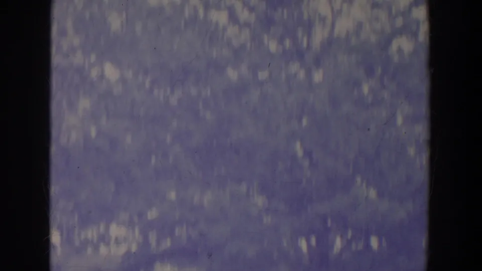 Handheld 8mm frame with dense, blurred foliage and mottled light, likely during the camera pan.