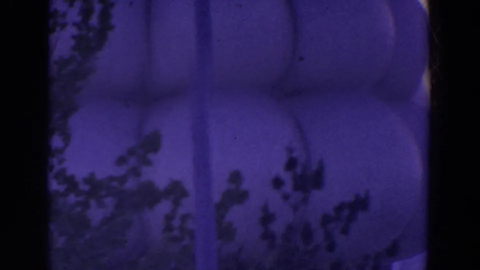 Purple-tinted 8mm frame of a rounded dome-like attraction surface with trees and dark film borders in the foreground.