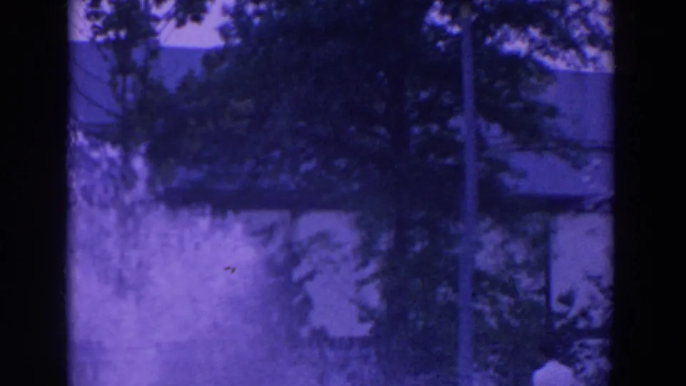 Soft 8mm frame with trees, a pale water-spray or bright ground area, and a structure partly visible behind foliage.