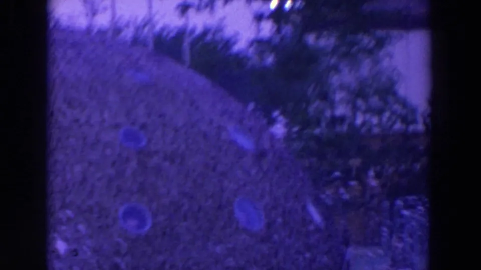 A handheld 8mm view of the water feature shows circular openings across a sloped plane, with trees and a building edge behind it.