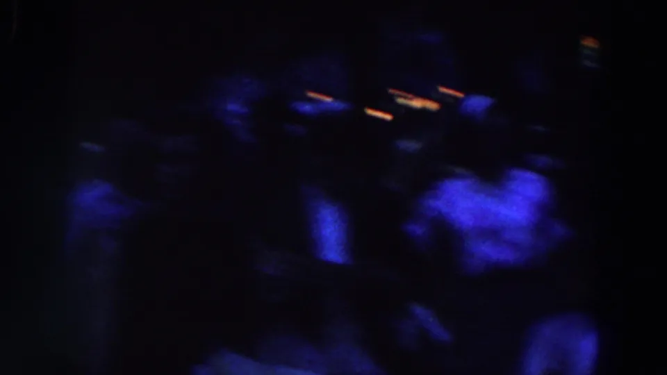 Nighttime fairground crowd in blue light, with indistinct people moving through a dark 8mm frame.
