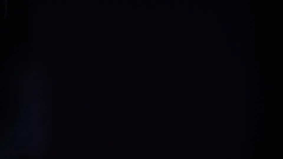 Mostly black 8mm night frame with minimal visible architectural detail and heavy shadow from the reported World's Fair clip.