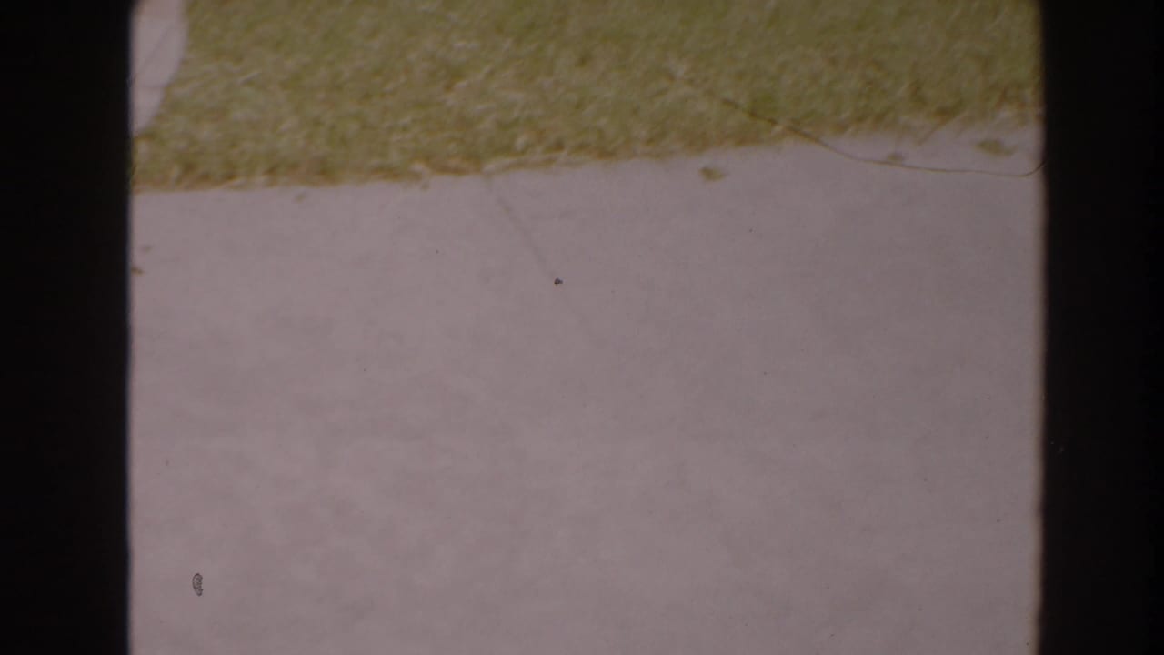 Grass border and pale concrete seen through an 8mm frame edge.