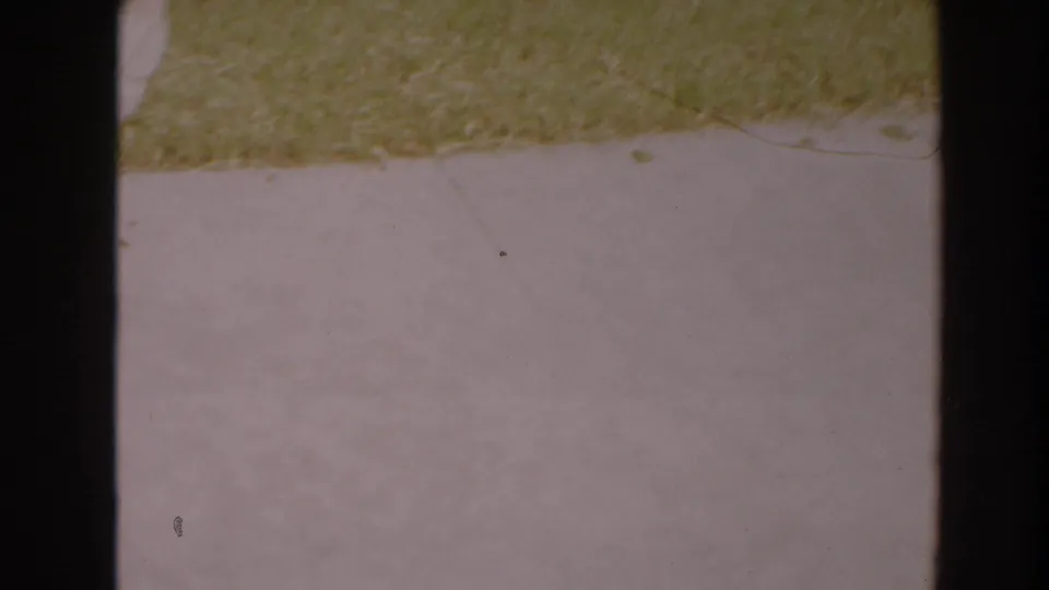 1964 North Hollywood 8mm frame showing a strip of green grass above light concrete with dark film borders and soft grain.