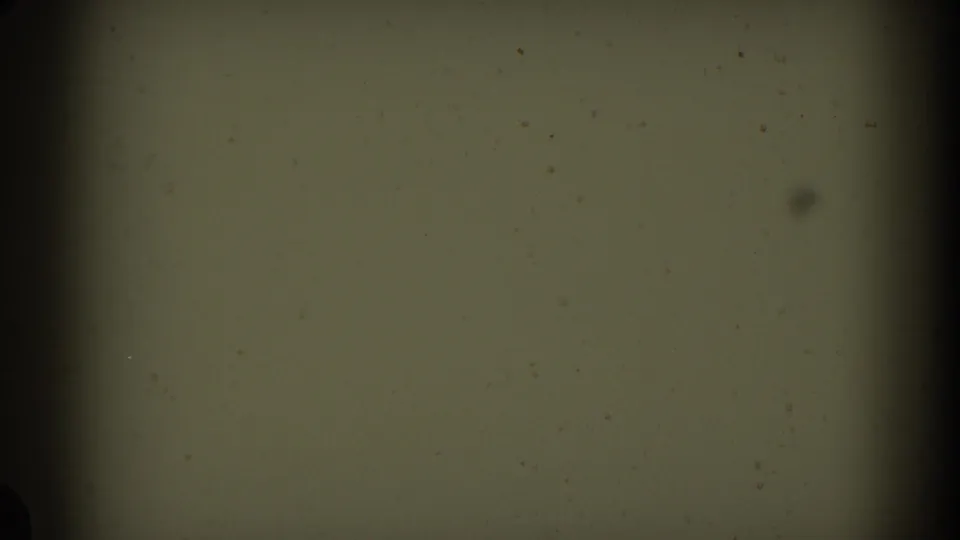 End frame from the 1959 8mm clip showing a greenish blank exposure area with dark borders and surface specks.