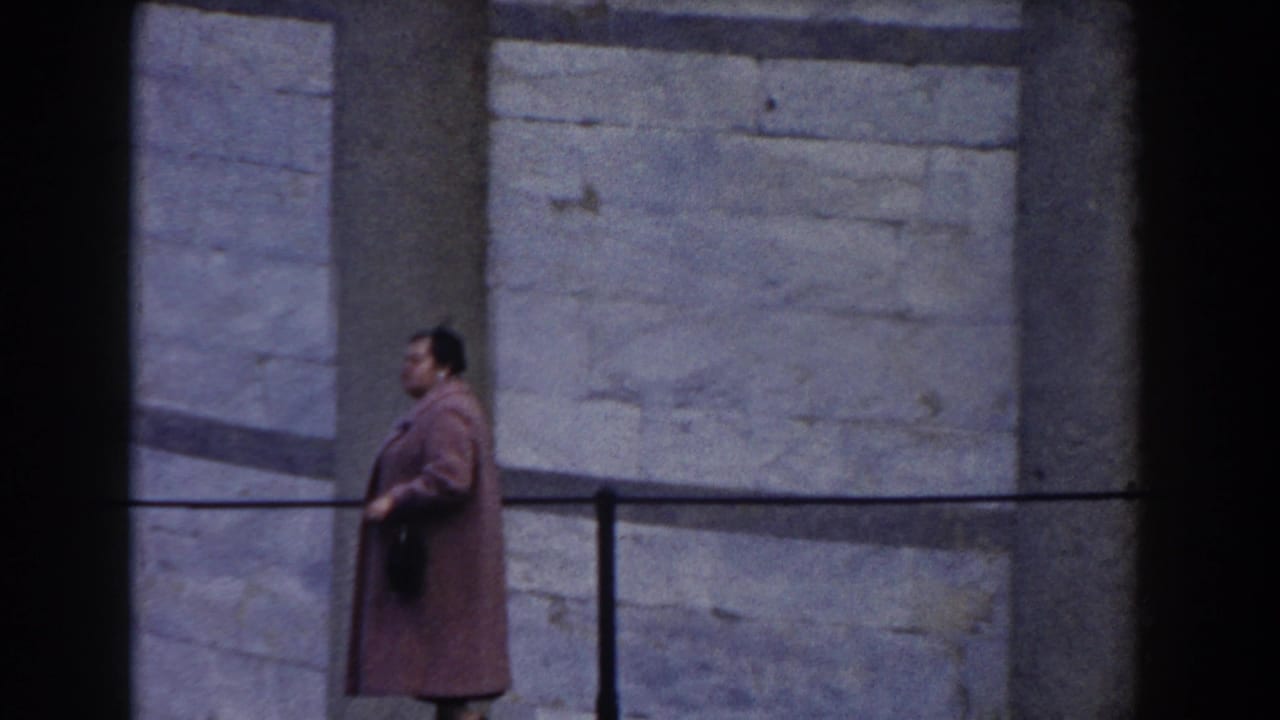 Woman in a pink coat walks beside stone columns and a railing.