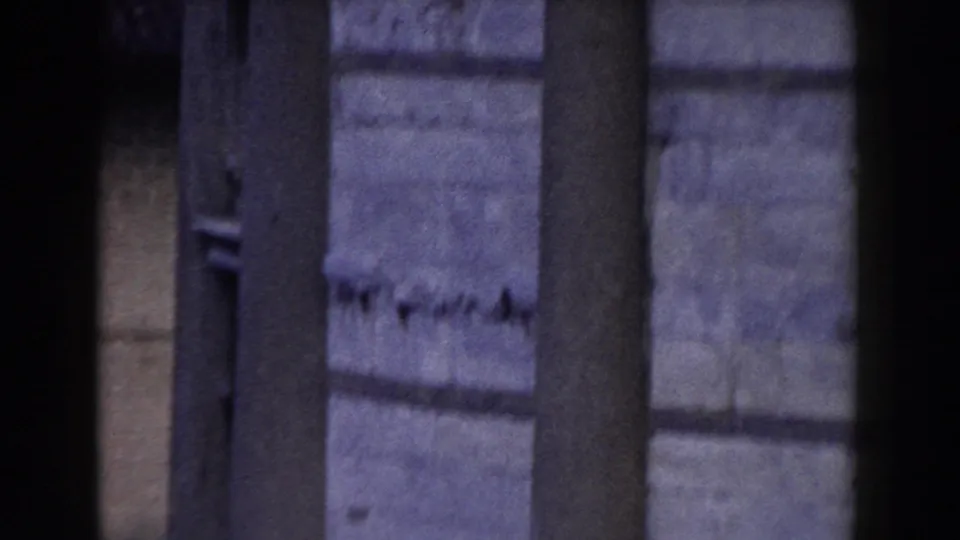 A columned exterior in Pisa fills the frame, with only a small partial figure visible near the lower right edge.