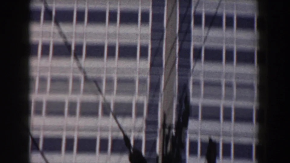 1959 Pisa 8mm frame of the office facade seen through dark vertical foreground strips and thin diagonal wires or branches.