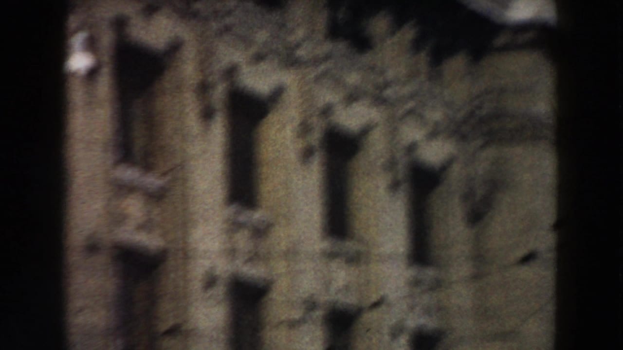 Blurred stone building facade with narrow windows and a tree in front.