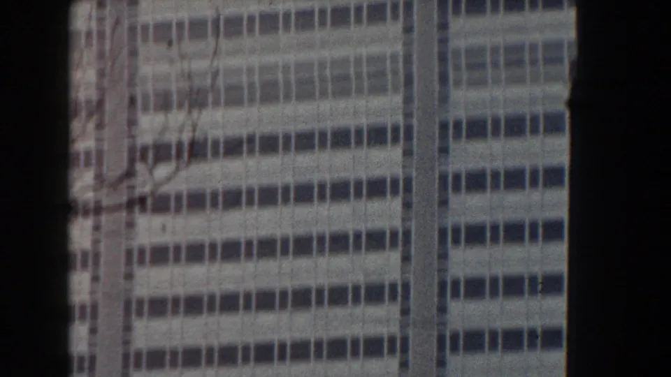 1959 Pisa frame showing a close modern facade with horizontal window bands, vertical mullions, and bare branches in front.