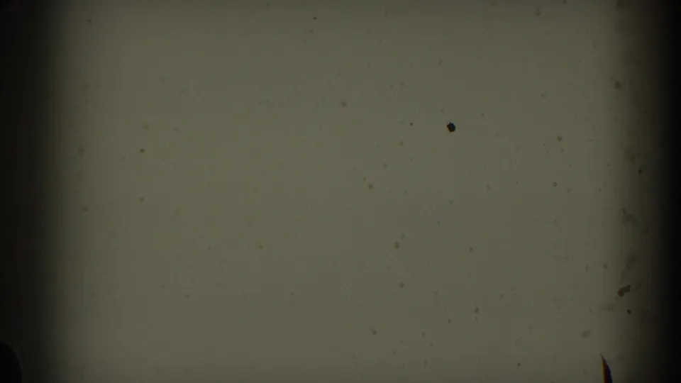 Close 8mm film-base detail from the supplied 1959 Pisa reel, showing pale emulsion, edge shadows, dust, and a dark divider.