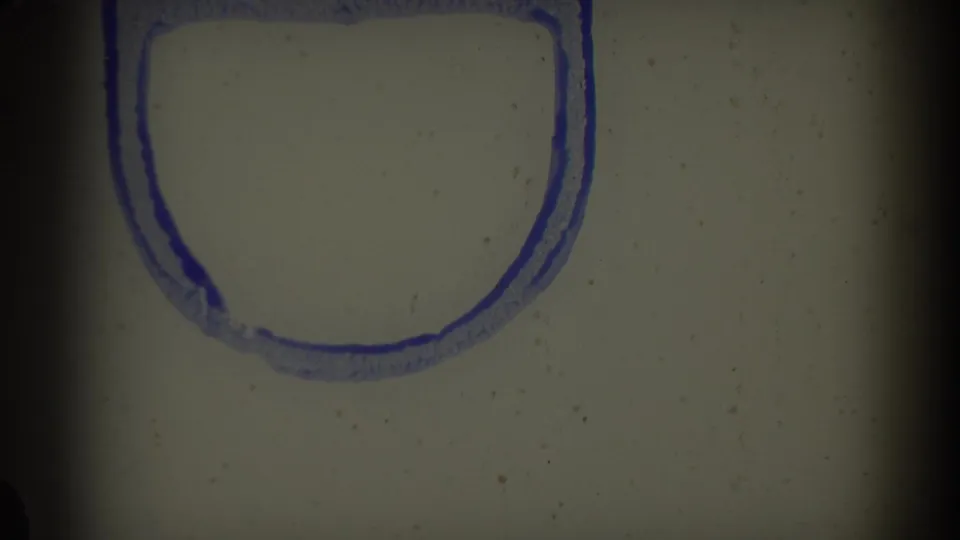 1959 Pisa 8mm frame detail with a pale film surface, blue rounded outline, edge shadows, dust, and uneven exposure.