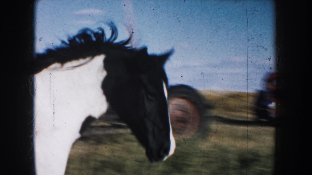 A horse head fills the frame against open countryside, appearing in the final rural cutaway of the 1953 South Dakota home movie.