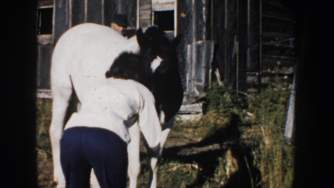 Woman bends near the horse's head as it stands by hay and a wooden barn.