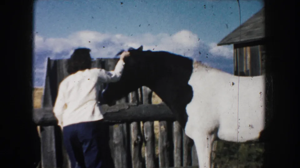 1953 South Dakota farmyard frame with a woman reaching across a wooden fence to pet a black and white horse.