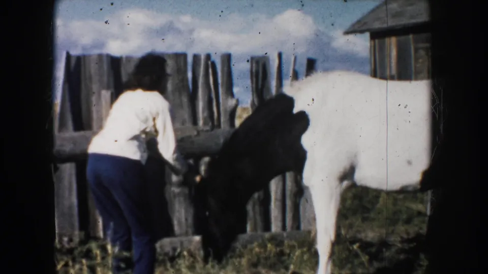 1953 South Dakota home-movie frame of a woman tending to a black and white horse beside a rough fence and barnyard.
