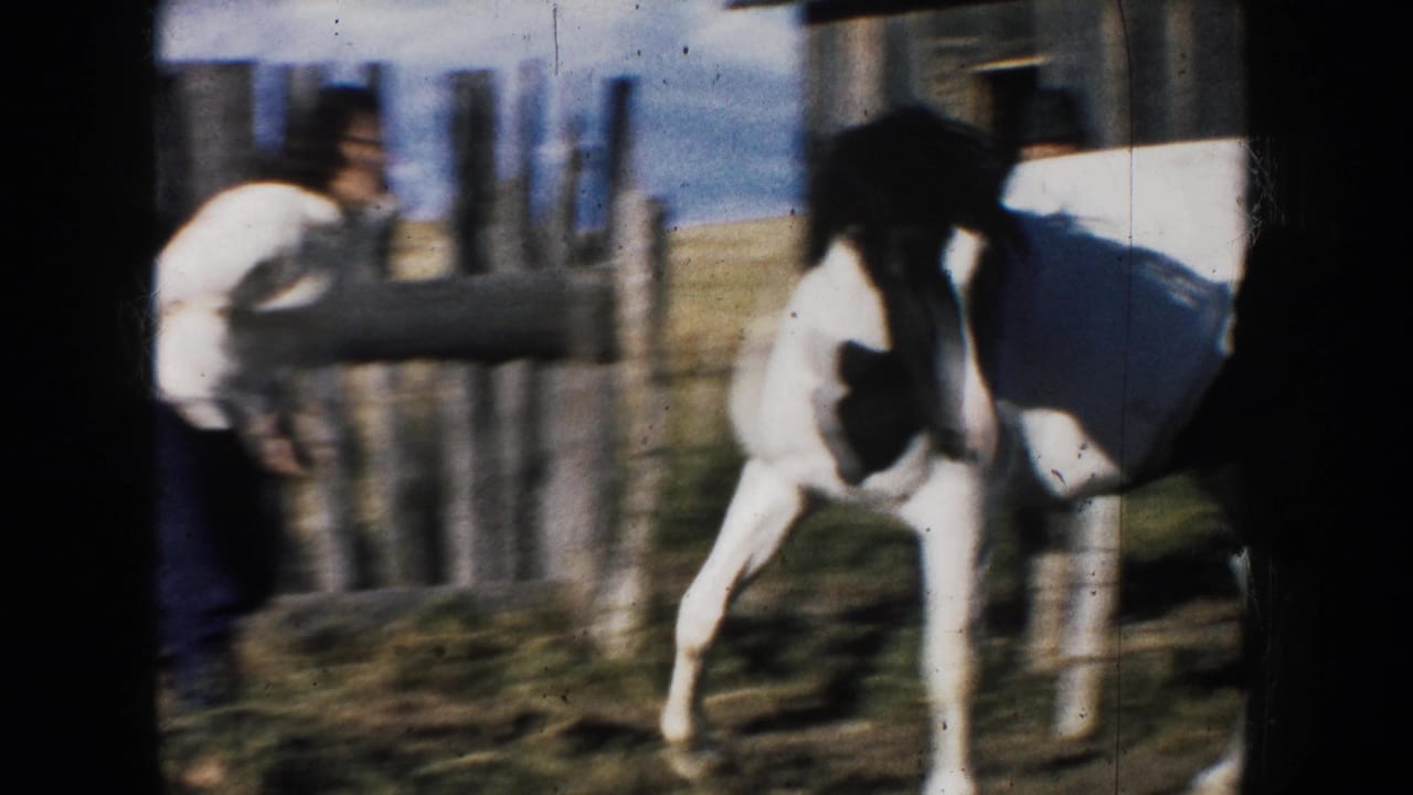 1953 South Dakota home-movie frame showing a woman near a fence reaching toward a black-and-white horse by a weathered barn.