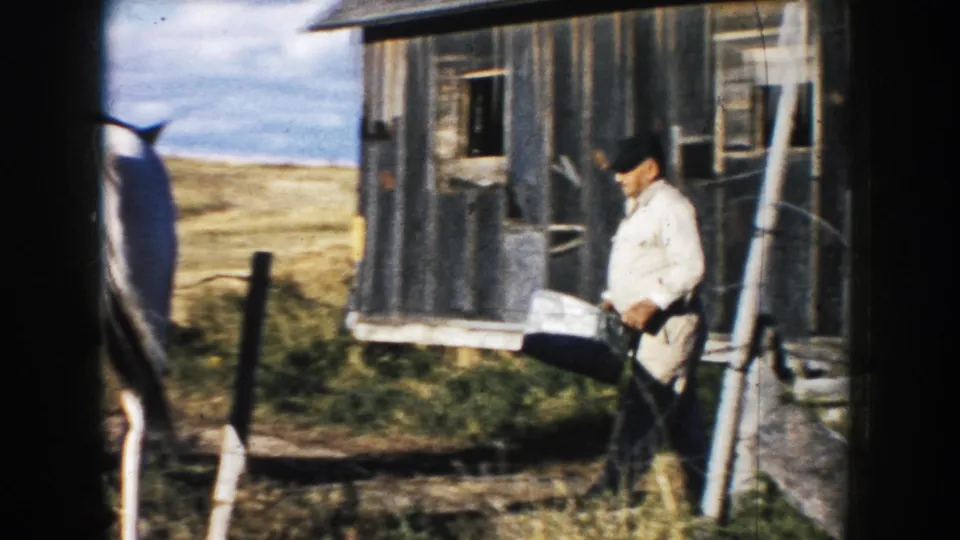 A man carries a metal container beside a weathered barn while part of a black-and-white horse is visible nearby.