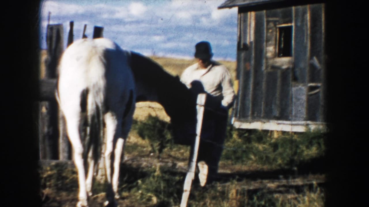 White horse stands near a man by a small wooden barn and fence posts.