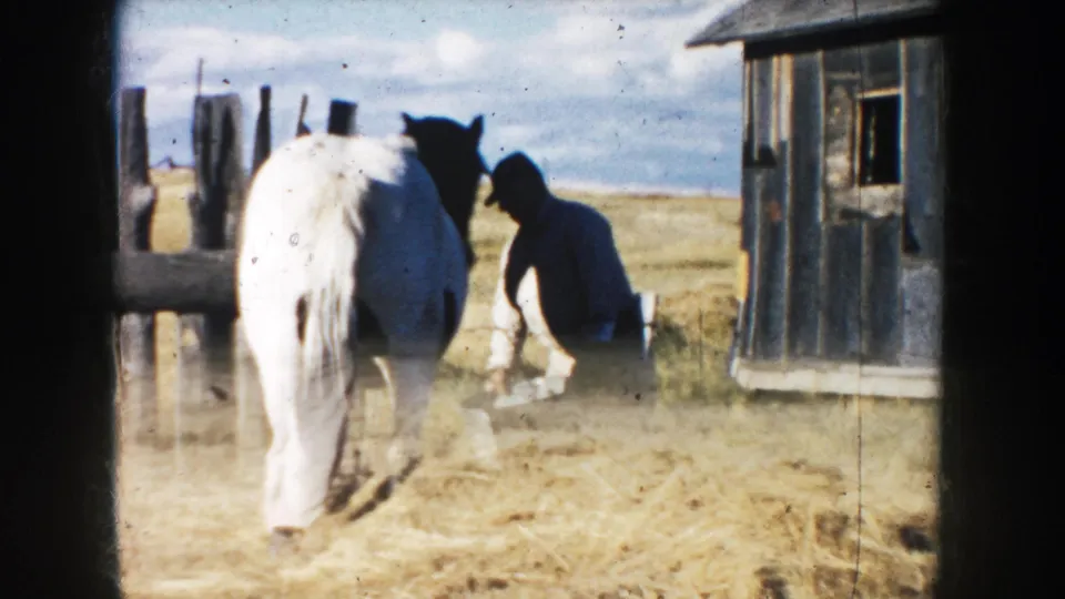 A man appears to work close to a white horse near a small barn, with dust, fence posts, and open South Dakota prairie visible.