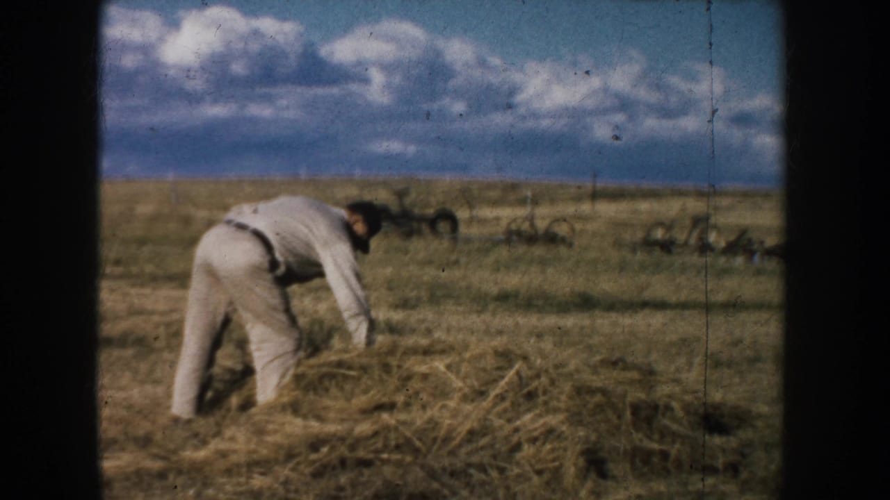 1953 South Dakota 8mm frame of a man in light work clothes bending over hay in an open field under a partly cloudy sky.