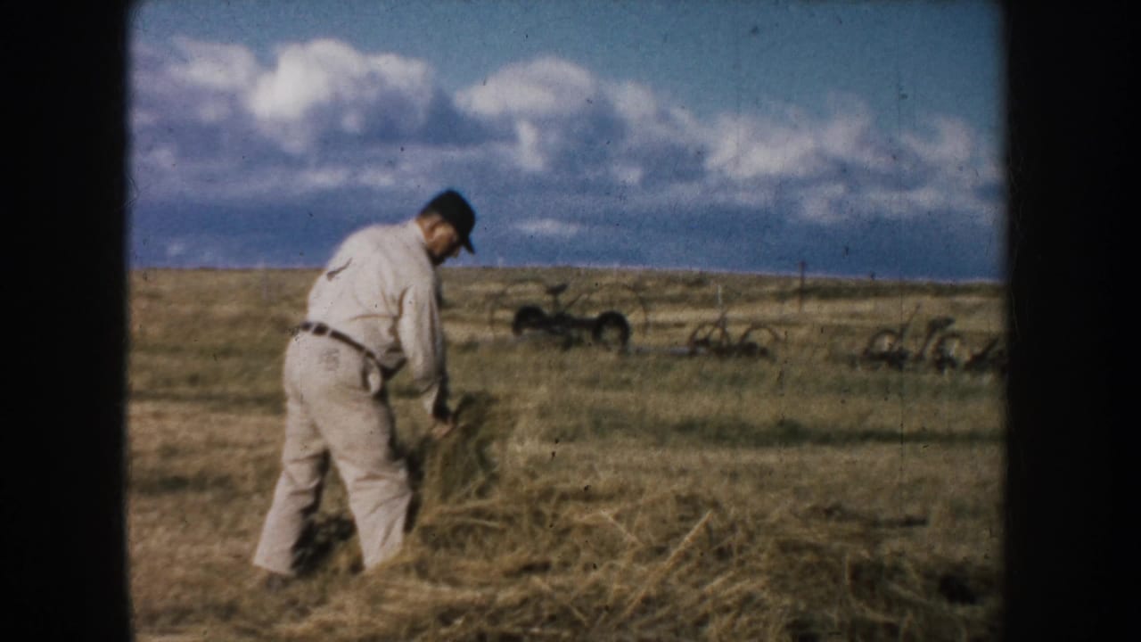 Man standing in a hay field with distant farm machinery and a cloudy blue sky behind him.