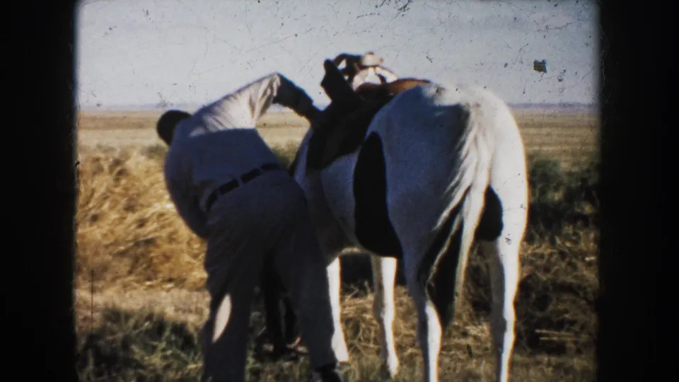 1953 South Dakota 8mm frame showing a man beside a white horse, bent over as he adjusts tack near loose hay.