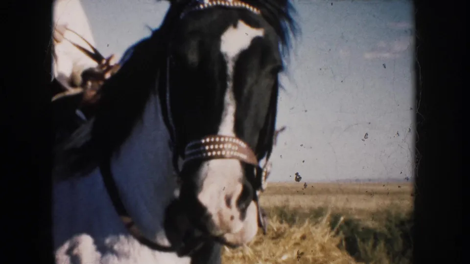 Close 1953 South Dakota frame of a black-and-white horse with bridle and browband details, rider partly visible in the background.
