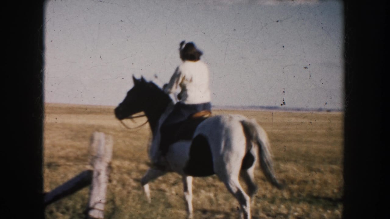 Woman riding a white and brown horse across an open field near fence posts.