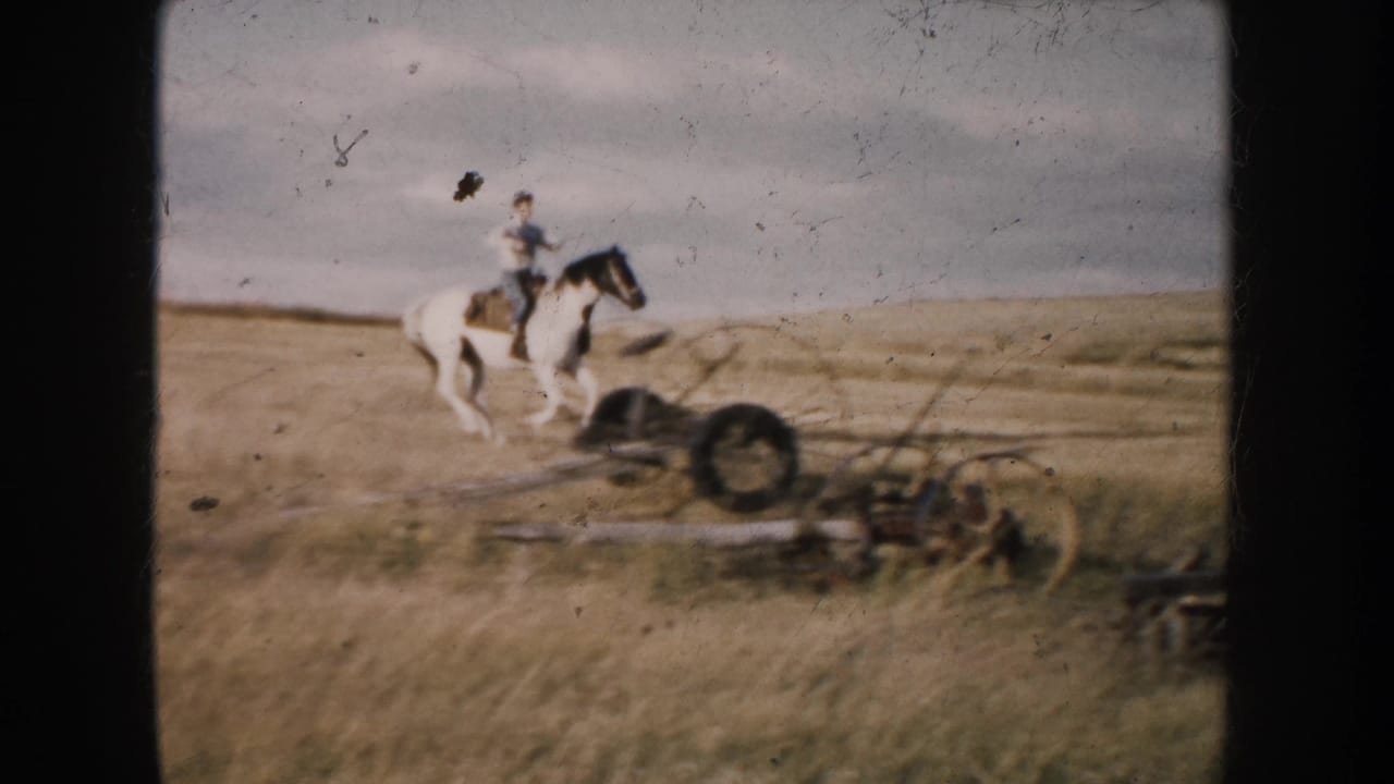 Rider on a pinto horse near old farm equipment in a dry field.