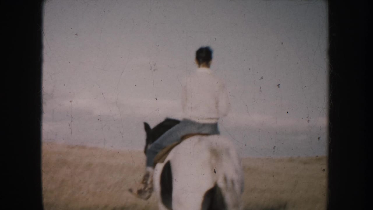 Rider seen from behind on a black and white horse in an open field.