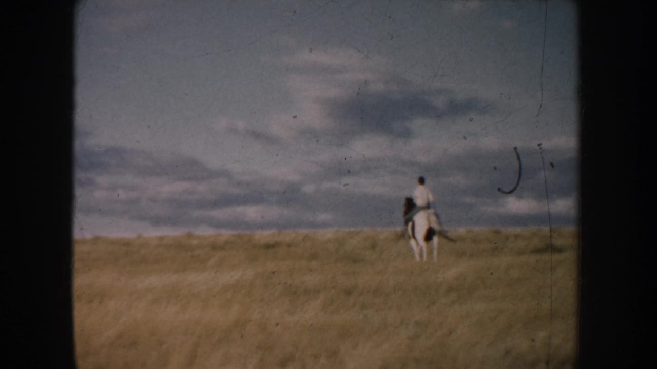 Distant rider on a white horse crossing golden prairie under a cloudy sky.