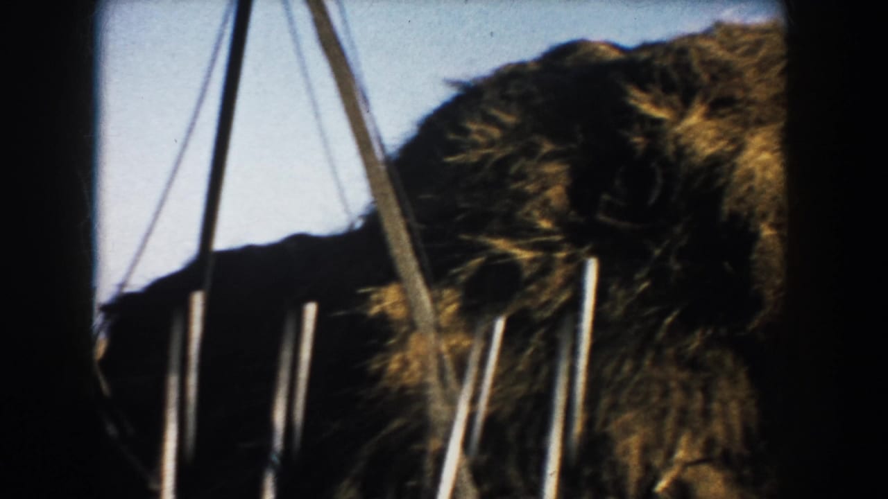 Close 8mm frame of large hay bales and upright stakes or equipment parts in a South Dakota field.