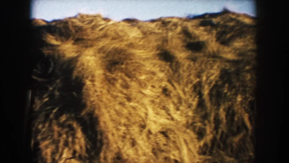 Close-up 1953 South Dakota farm frame showing textured hay bales passing near the handheld camera.