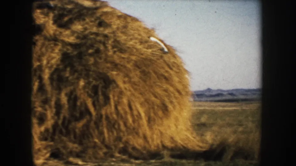 Large hay bale in a South Dakota field with prairie and low hills visible in the distance.