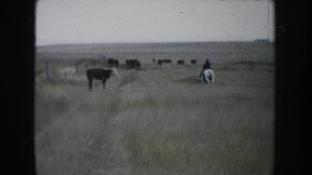 Wide 1953 South Dakota prairie view with the rider moving away toward a scattered cattle herd in the distance.
