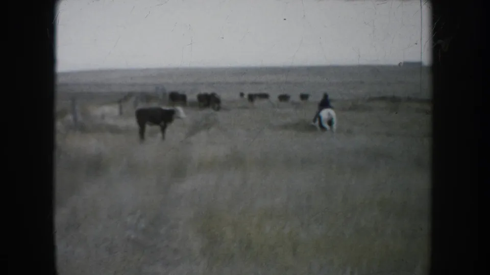 Wide 1953 South Dakota prairie view with the rider moving away toward a scattered cattle herd in the distance.