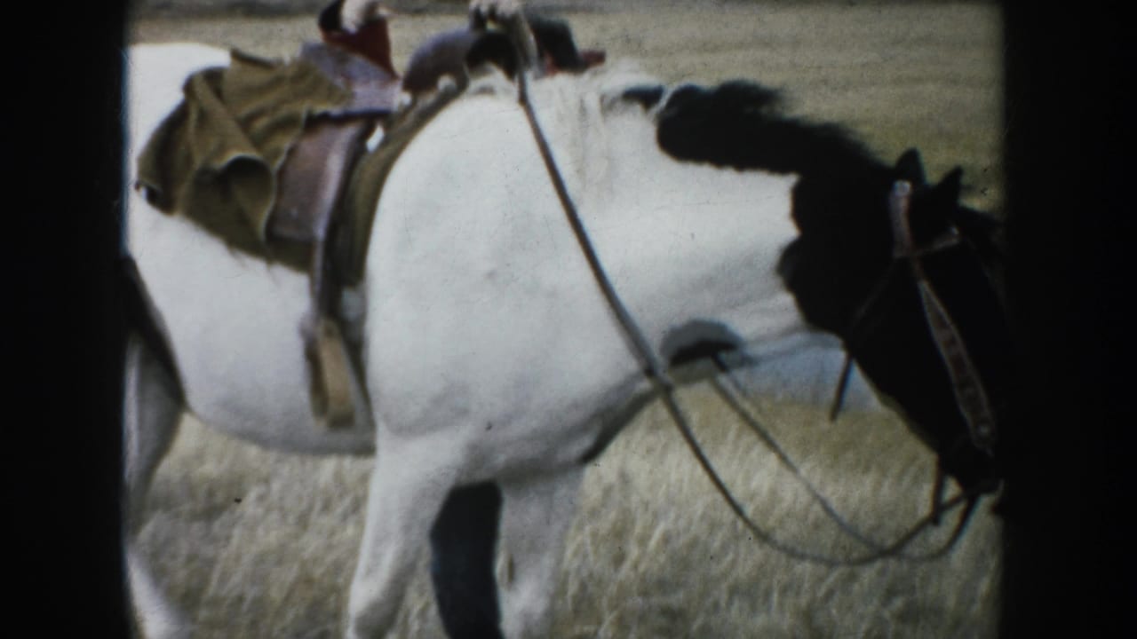 A saddled black and white pinto horse stands in dry grass, suggesting rural ranch use in South Dakota.