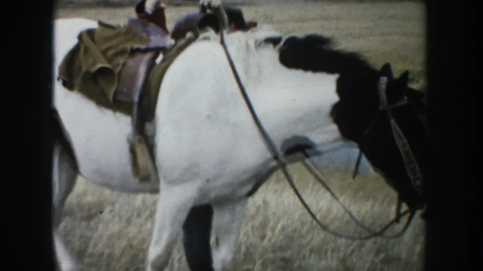 A saddled black and white pinto horse stands in dry grass, suggesting rural ranch use in South Dakota.