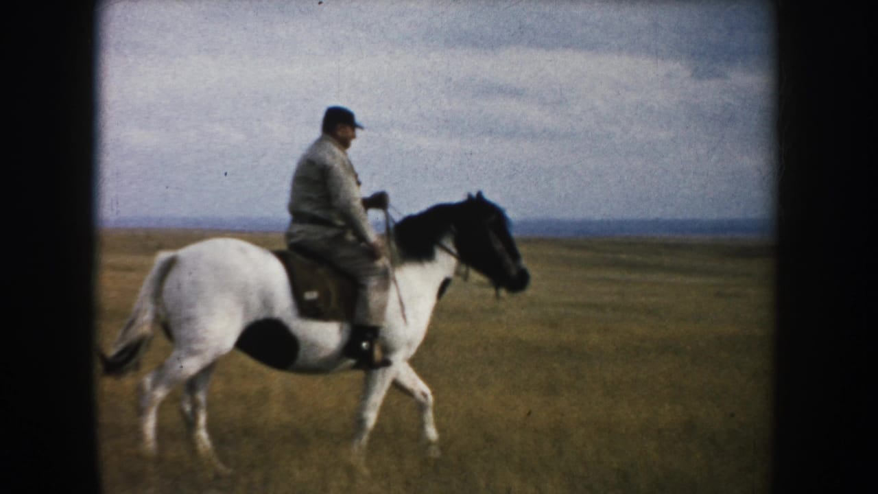 Adult rider in a dark hat on a black-and-white horse in an open tan field.